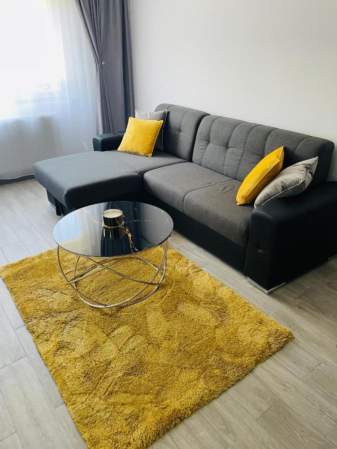 Timisoara Central Apartment New Parking !! エクステリア 写真