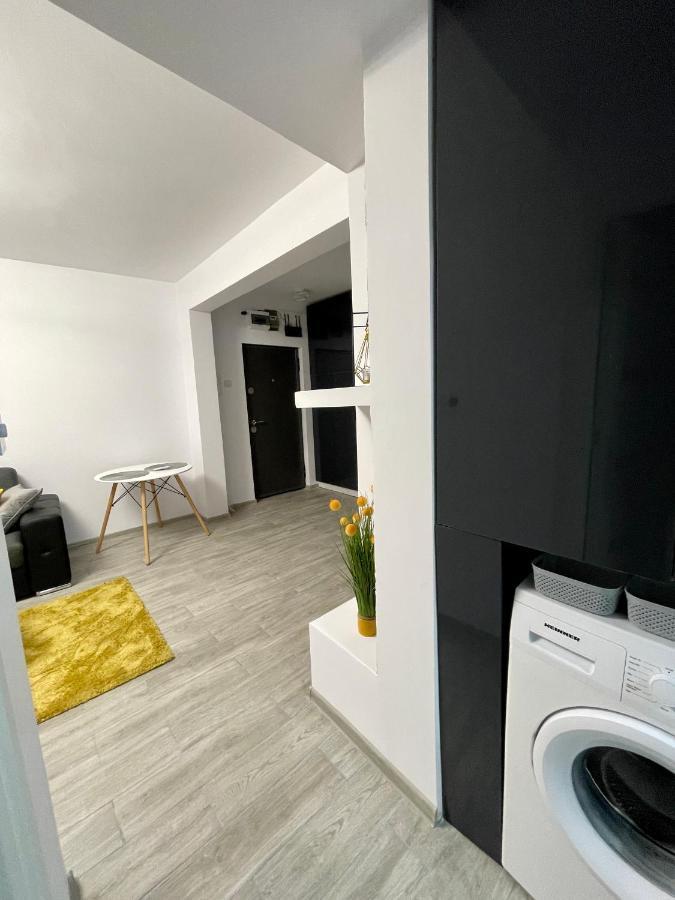 Timisoara Central Apartment New Parking !! エクステリア 写真