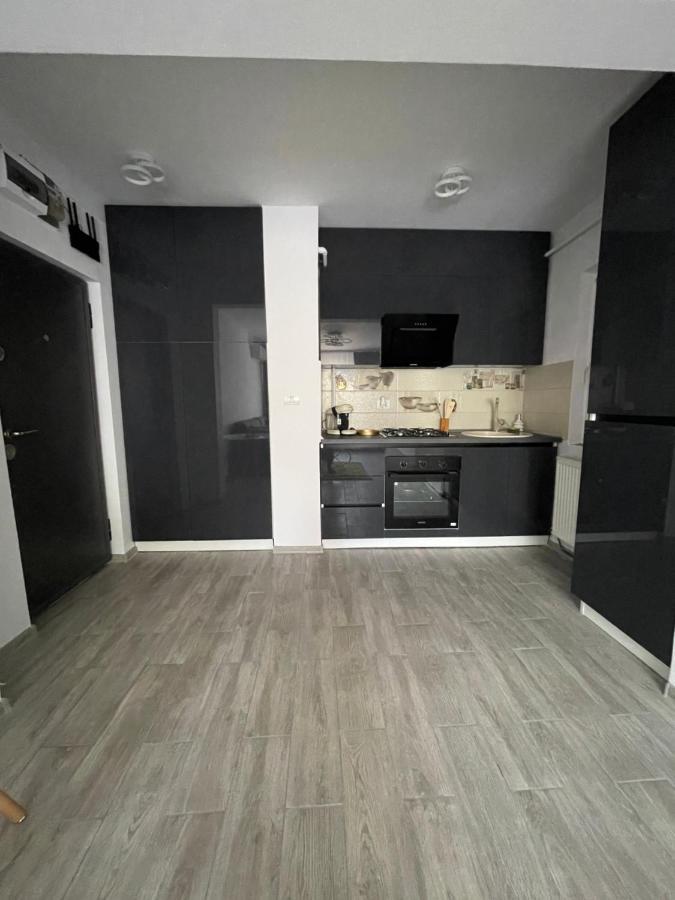 Timisoara Central Apartment New Parking !! エクステリア 写真